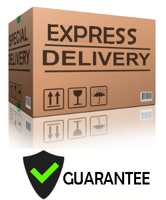 EXPRESS DELIVERY SECURE WARRANTY