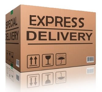 SECURE EXPRESS DELIVERY