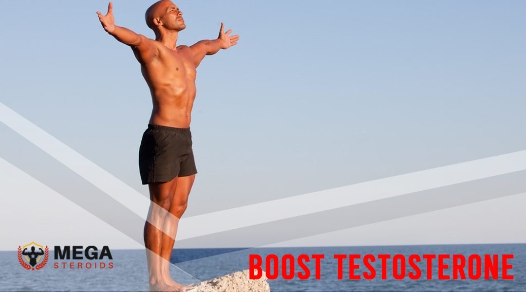 Complément Alimentaire Testostérone Homme - Herbe De Chèvre Cornée, Turkestérone - Booste énergie Et Libido