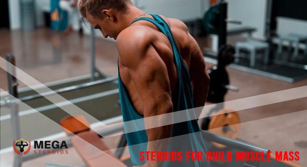 Le fait réel sur les stéroïdes pour développer la masse musculaire