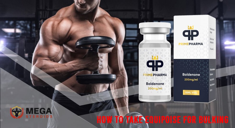 How to take Equipoise for Bulking Cycle?